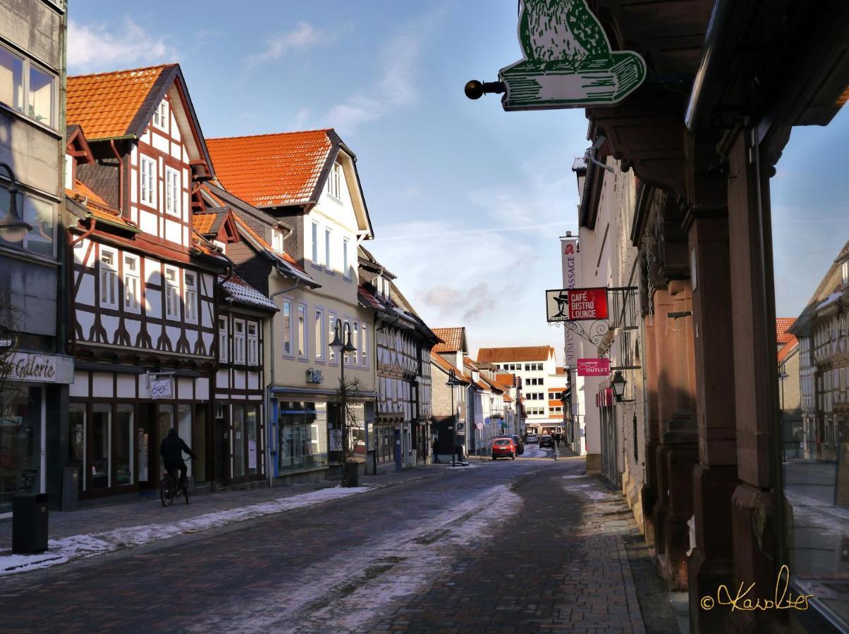 Appartement Haus-Wolter à Goslar Extérieur photo